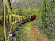 a train traveling through a lush green forest filled with lots of trees and grass on the side of a hill