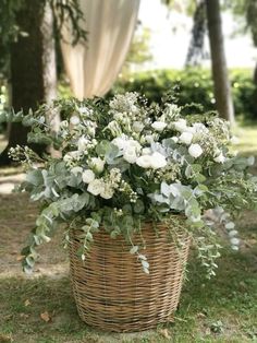 a basket filled with white flowers sitting on top of a grass covered field next to trees