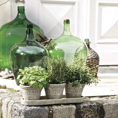 three green glass bottles sitting next to each other on a stone slab with plants in them