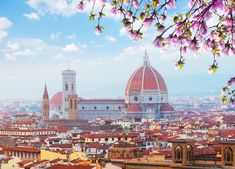 the city is surrounded by tall buildings and pink flowers