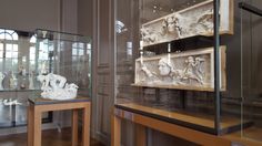 some white sculptures are on display in a room with glass walls and wooden floors,