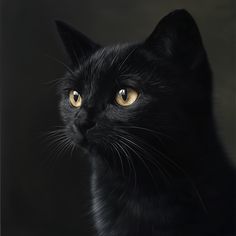 a black cat with yellow eyes stares into the distance, while on a dark background