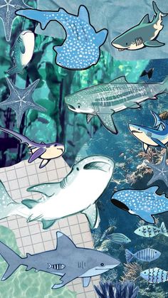 an underwater scene with many different types of sharks and other marine creatures in the water