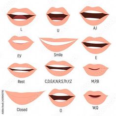 the different types and shapes of lips