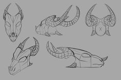 four different angles of an animal's head, including the horns and long tusks