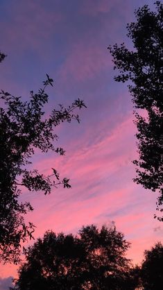 the sky is pink and blue with some trees in front of it at sunset or dawn