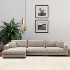 a living room with a sectional couch and two pictures on the wall above it, along with a potted plant