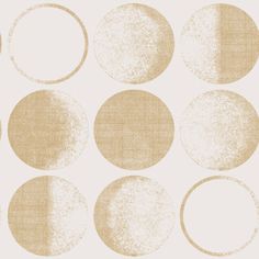 six beige circles on a white background