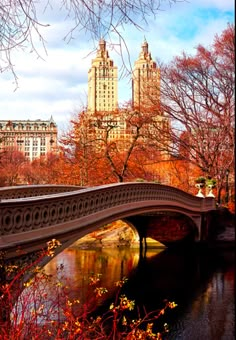 a bridge over a body of water surrounded by trees and tall buildings in the background