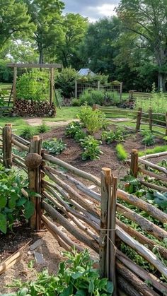 a garden with wooden fences and lots of green plants in the center, surrounded by trees