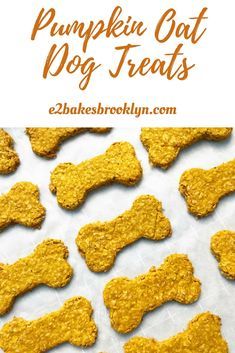 pumpkin oat dog treats with text overlay