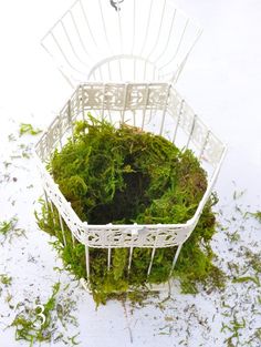 a white basket filled with green moss on top of snow