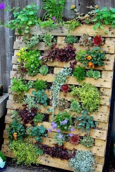 a wooden pallet filled with lots of plants