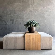 a potted plant sitting on top of a wooden block in front of a wall