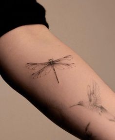 a woman's arm with a dragonfly tattoo on it