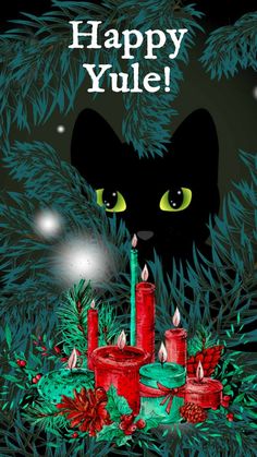 a black cat with green eyes is surrounded by candles and evergreen branches, while the words happy yule are lit