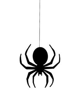 a black and white spider hanging from a string