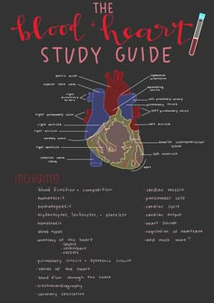 the heart study guide is shown on a black background with red and blue writing in it