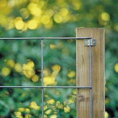 a close up of a metal and wood fence with trees in the backround