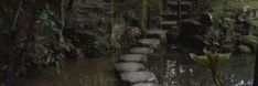 a path in the middle of a forest with stepping stones leading up to it's entrance