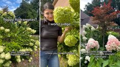 three different pictures show the same woman in front of hydrangeas and trees with flowers