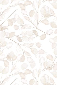 a white and beige wallpaper with lots of leaves on the top, in an abstract pattern