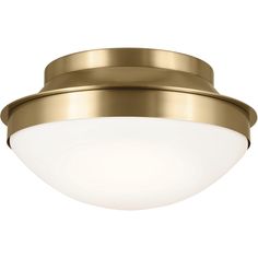 an image of a flush light fixture