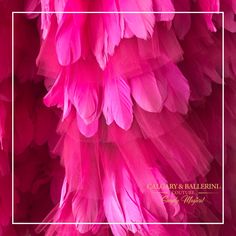 Hot Pink Feather Dress Imagine a floor-length hot pink feather dress that exudes elegance and glamour with every sway. This stunning gown commands attention, its vibrant hue catching the eye and its feathered layers adding a touch of extravagance. Perfect for special occasions or formal events, this hot pink feather dress is a statement piece that promises to make anyone feel like the belle of the ball, radiating confidence and sophistication with its luxurious design. DETAILS: Hot Pink Feather Pink Feather Dress, Couture Prom Dresses, Tulle Ruffle Dress, Feather Outfit, Feathered Layers, Feather Gown, Dramatic Entrance, Feather Skirt, Dresses Luxury