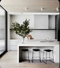 a white kitchen with two stools and a plant in the middle of the island