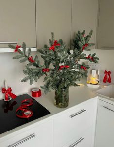 a christmas tree in a vase on top of a stove