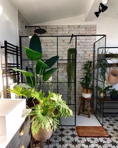 a bathroom with plants and potted plants in it