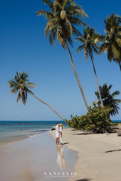 two people walking on the beach with palm trees