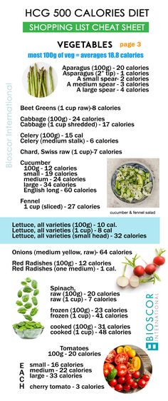 Omni Drops Phase 2 Food List, Hcg Phase 2, Zone Diet Meal Plan, Zone Diet Recipes, 500 Calorie Diet