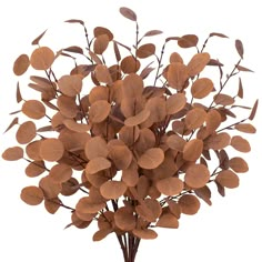 a bunch of brown leaves in a vase