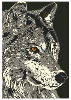 an image of a wolf with orange eyes