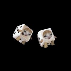 two white dices with black spots on them and one has a cat in it