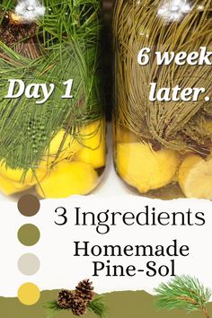 Homemade pine-sol in a mason jar. All Natural Living, Natural Home Products, Diy Pine Sol, Pine Cleaner Diy, Homemade Pine Sol, Pine Sol Uses, Diy Pine Needle Cleaner, Pine Cleaner, Natural Hacks