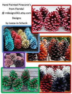 pine cones with different colors and sizes are shown in multiple pictures, including red, green,