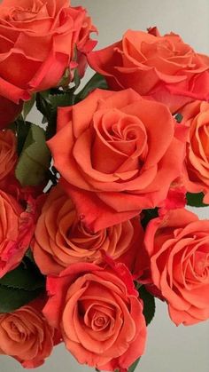 a vase filled with orange roses on top of a table