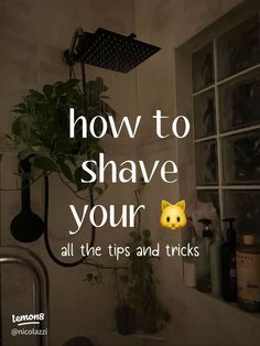 HOW TO SHAVE YOUR 🐱 Smooth Kitty Routine, Shave Your Kitty, Tips For Shaving Your Kitty, Shaving Hacks, First Time Tips, Shaving Routine, Shaving Tips, Shower Skin Care, Grooming Tips