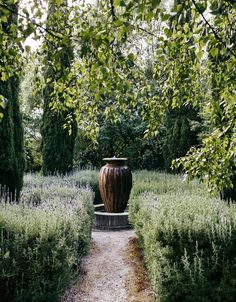 a large vase sitting in the middle of a garden surrounded by trees and lavenders