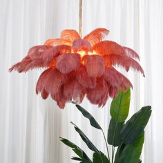 a plant with pink feathers hanging from it's centerpiece in front of a curtained window