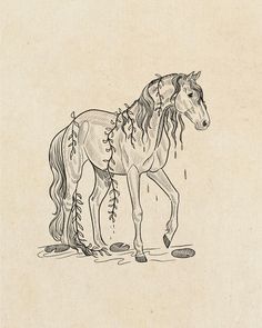 a drawing of a horse with long manes and braids on it's tail