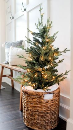 a small christmas tree in a wicker basket on the floor next to a bench