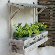 two potted plants are sitting on a shelf with the word herbs painted on it