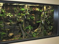 an aquarium filled with plants and rocks in a wall next to a plant potted on the side