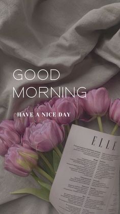 pink tulips and an open book with the words good morning have a nice day