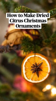 an orange ornament hanging from a christmas tree with the words how to make dried citrus christmas ornaments