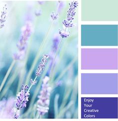 the color scheme is blue and purple, with lavenders in it's center