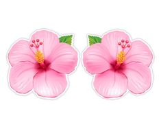 two pink flowers with green leaves on them